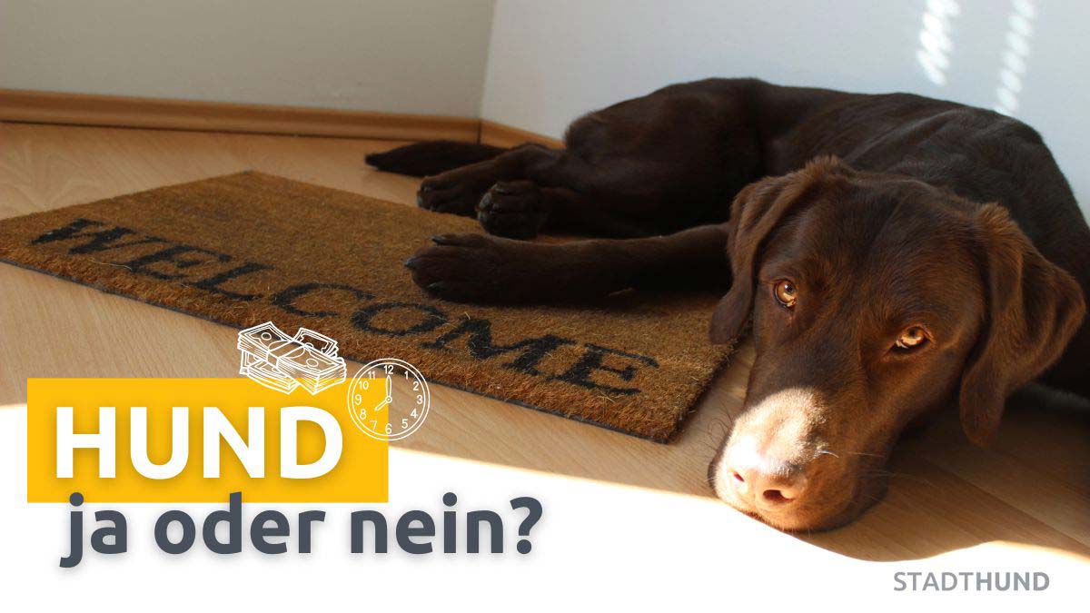 Labrador liegt auf Türmatte mit der Aufschrift "Willkommen"