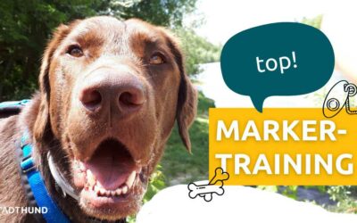 Markertraining