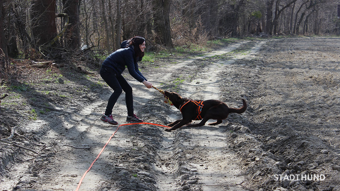 Frau zergelt mit Hund