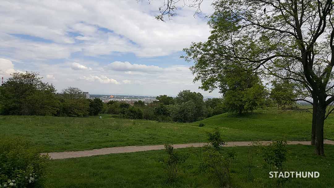 Ausblick über Wien aus der Hundezone Löwygrube
