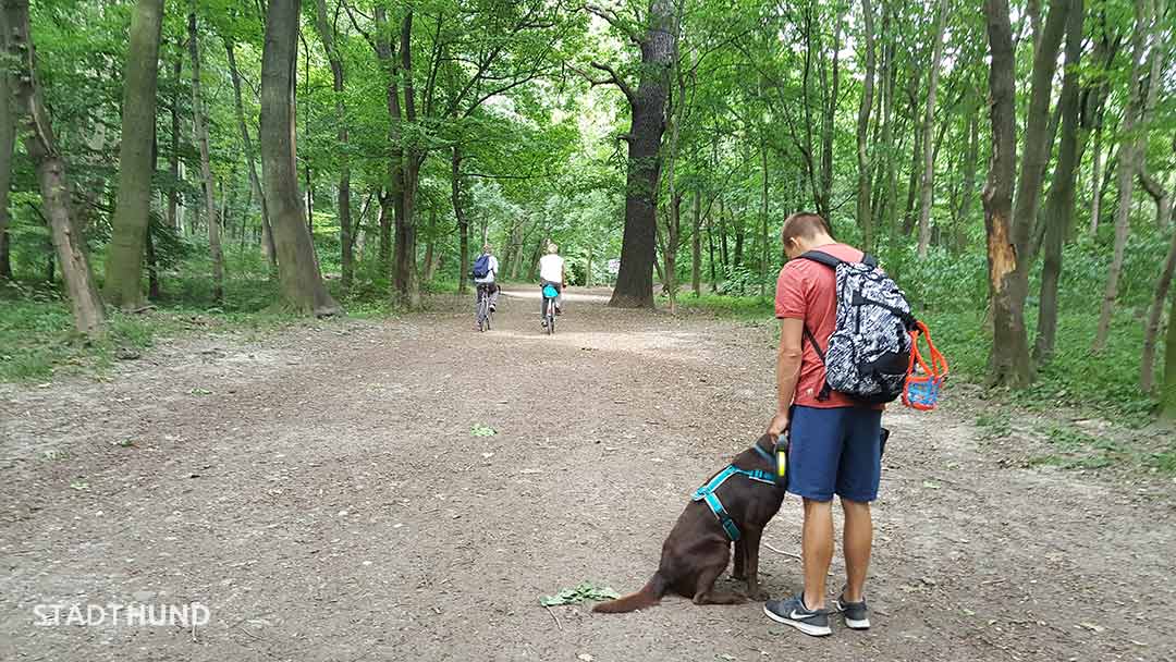 Radfahrer unterwegs in der Hundezone Prater