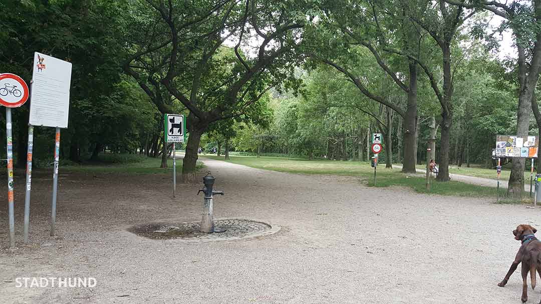 Trinkbrunnen in der Hundezone Prater