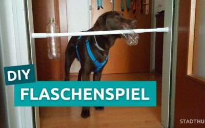 DIY: Flaschenspiel
