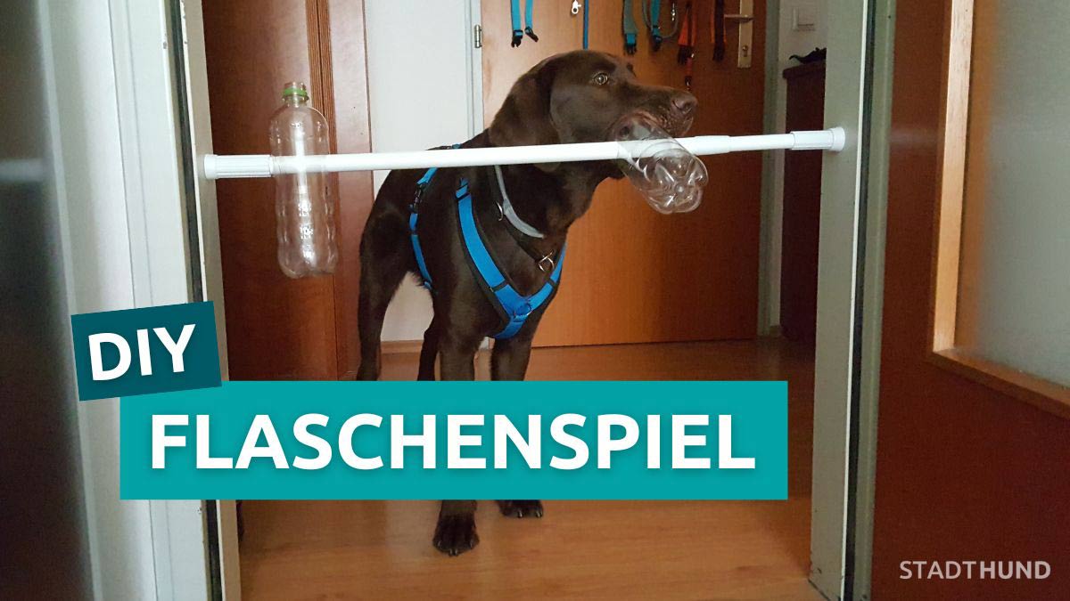 DIY: Flaschenspiel