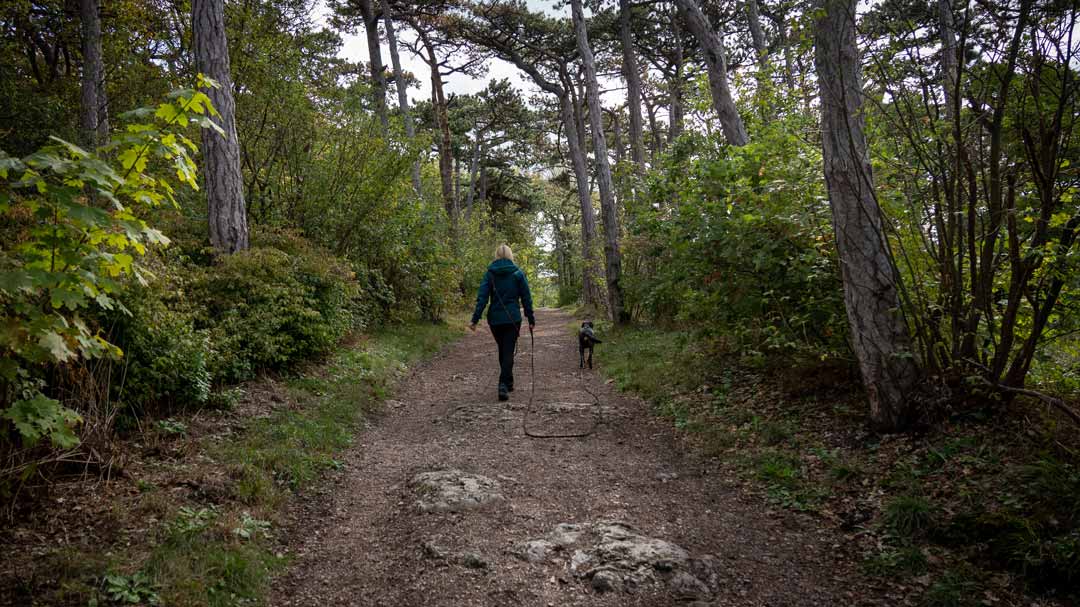 Leo und Nici beim Waldspaziergang