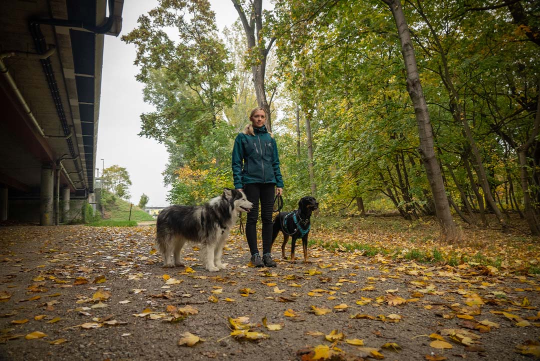 Teilnehmer beim Social Walk